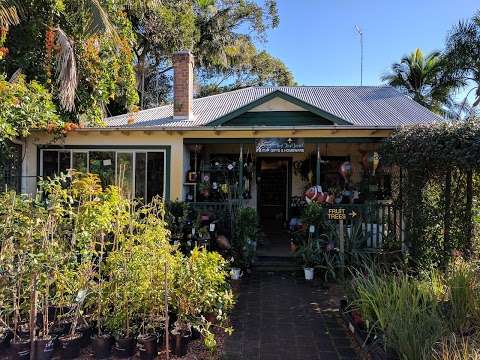 Photo: Plant Trade Nursery